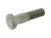 Wheel Bolt:21022167PK10