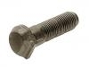 Wheel Bolt:0 123 250