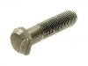 Wheel Bolt:0 132 601