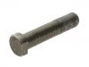 轮胎螺栓 Wheel Bolt:81.45501.0080