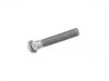 Wheel Bolt:20553561