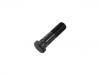 Radbolzen Wheel Bolt:02475870