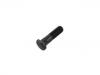 Wheel Bolt:042119082