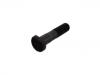 轮胎螺栓 Wheel Bolt:6.125.312.231