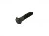 轮胎螺栓 Wheel Bolt:0121302
