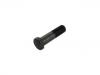 Wheel Bolt:81.45501.0077