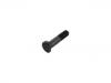 Wheel Bolt:017.138-00