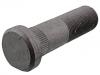 Radbolzen Wheel Bolt:4211 7447