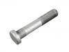 Radbolzen Wheel Bolt:81.45501.0172